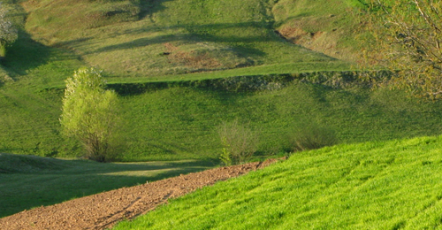 cave de la bonne rencontre